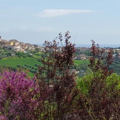 Camping Mar y Sierra