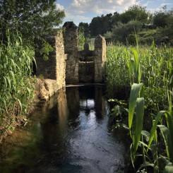 Camping de L'Olivigne