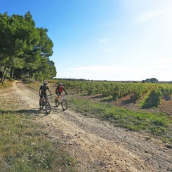 Camping de L'Olivigne