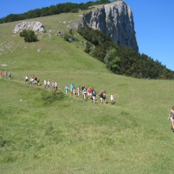 Camping Gallo Romain