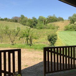 Agriturismo Le Sorgive e Le Volpi