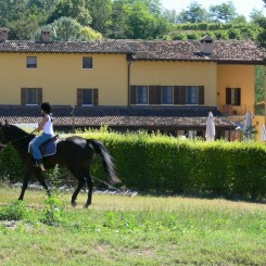 Agriturismo Le Sorgive e Le Volpi