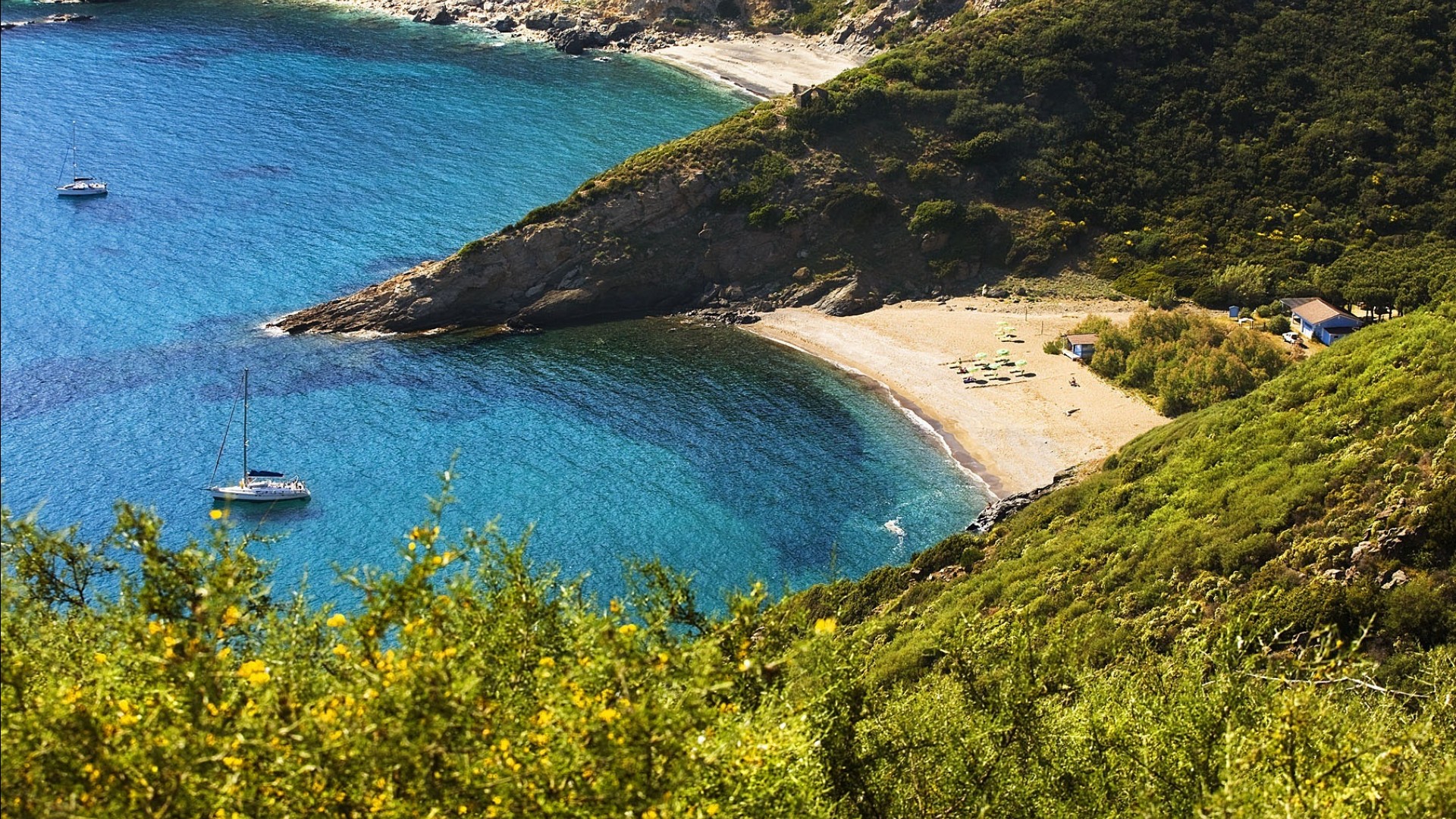 Tenuta delle Ripalte